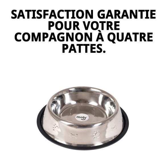 Bol en Acier Inoxydable de 25 cm avec Design Amusant