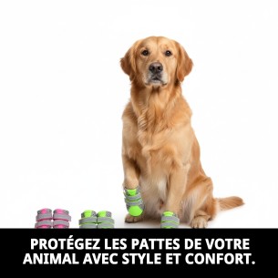 Chaussures Moly Mascota T-S : Confort et Protection pour Votre Chien 2