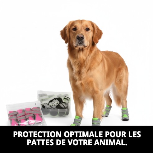 Chaussures Moly Mascota T-M : Confort et Protection pour votre Chien