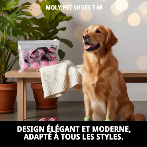 Chaussures Moly Mascota T-M : Confort et Protection pour votre Chien