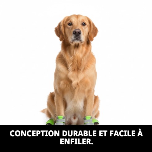 Chaussures Moly Mascotte T-L : Confort et Protection Idéale