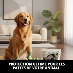 Chaussures Moly Mascota T-XL : Confort et protection pour vos animaux de compagnie. 2