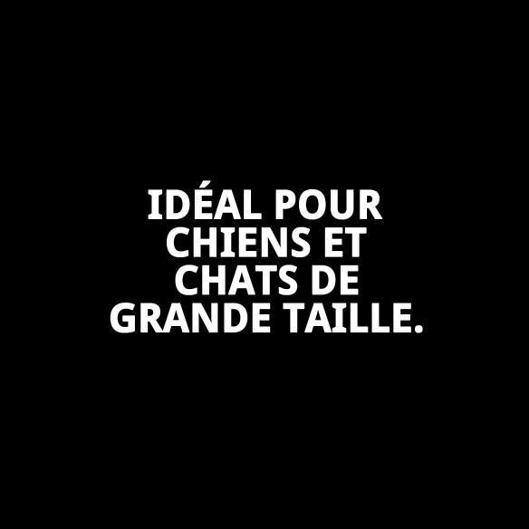 Chaussures Moly Mascota T-XL : Confort et protection pour vos animaux de compagnie.