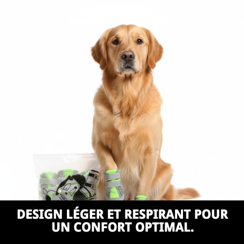 Chaussures Moly Mascota T-XL : Confort et protection pour vos animaux de compagnie.