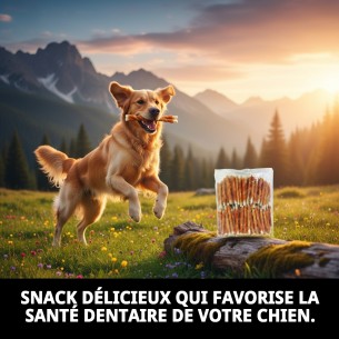Peau de Vache en Gros avec Filet de Poulet de Ferme 1kg pour Animaux de Compagnie 2