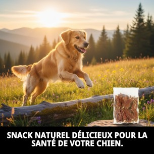 Snack Naturel pour Chiens : Dental Stick au Poulet et au Bœuf 2