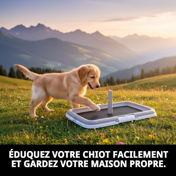 Bac d'entraînement pour chiots : Éduquez votre animal de compagnie avec hygiène.
