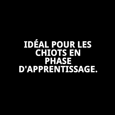 Bac d'entraînement pour chiots : Éduquez votre animal de compagnie avec hygiène.