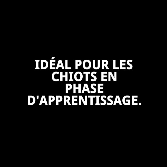Bac d'entraînement pour chiots : Éduquez votre animal de compagnie avec hygiène.