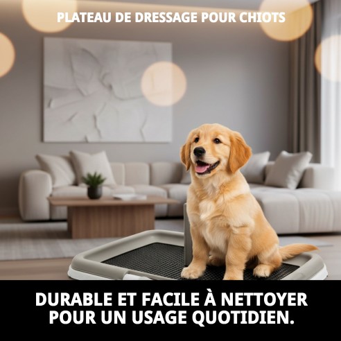 Bac d'entraînement pour chiots : Éduquez votre animal de compagnie avec hygiène.