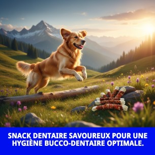 SNACK DENTAIRE PATO EXTRA MAXI 1 KG 2