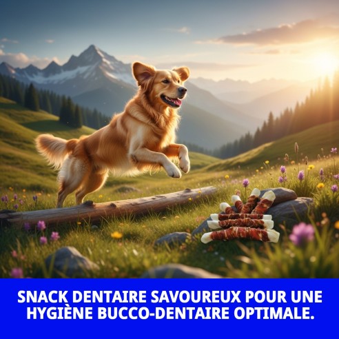 SNACK DENTAIRE PATO EXTRA MAXI 1 KG