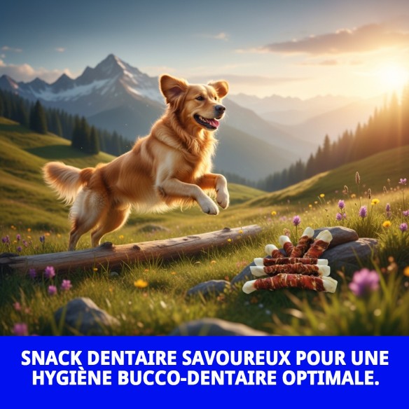 SNACK DENTAIRE PATO EXTRA MAXI 1 KG