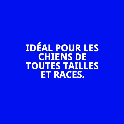 SNACK DENTAIRE PATO EXTRA MAXI 1 KG