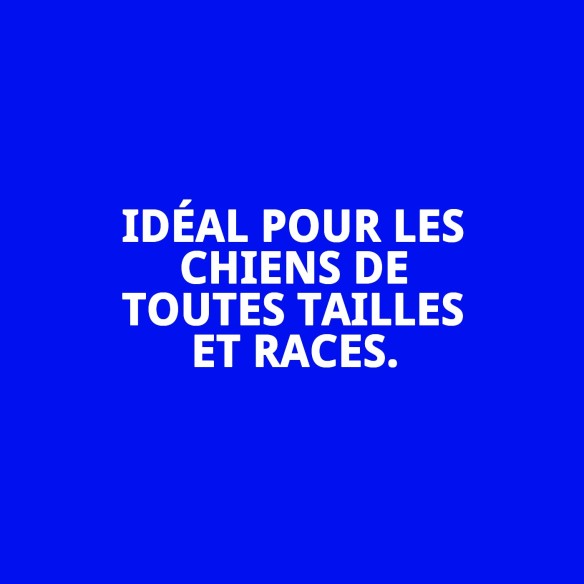 SNACK DENTAIRE PATO EXTRA MAXI 1 KG