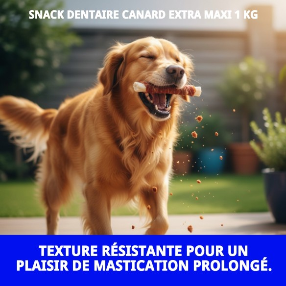 SNACK DENTAIRE PATO EXTRA MAXI 1 KG