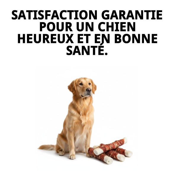 SNACK DENTAIRE PATO EXTRA MAXI 1 KG