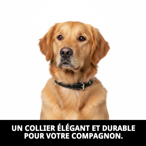 Collier en cuir lisse avec accessoires - 45 cm pour animaux de compagnie