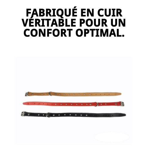 Collier en cuir lisse avec accessoires - 45 cm pour animaux de compagnie