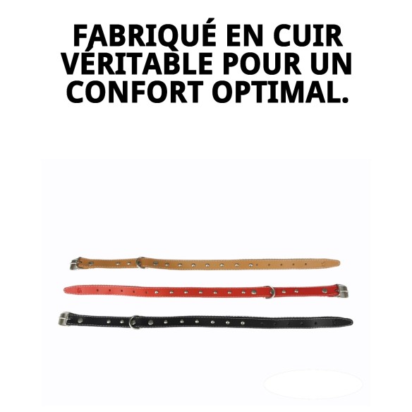 Collier en cuir lisse avec accessoires - 45 cm pour animaux de compagnie