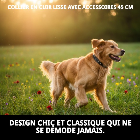 Collier en cuir lisse avec accessoires - 45 cm pour animaux de compagnie