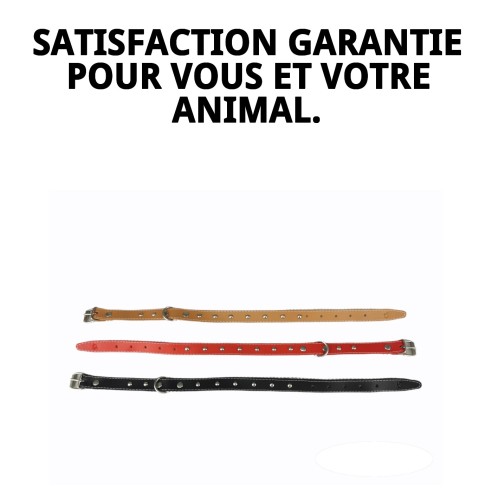 Collier en cuir lisse avec accessoires - 45 cm pour animaux de compagnie