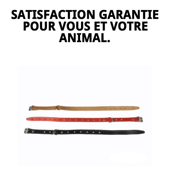 Collier en cuir lisse avec accessoires - 45 cm pour animaux de compagnie