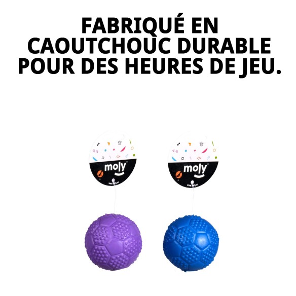 Balle en Caoutchouc avec Son pour Chiens - 5 cm de Plaisir