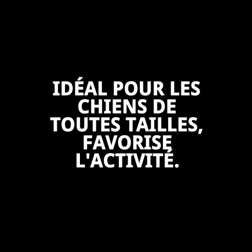 Balle en Caoutchouc avec Son pour Chiens - 5 cm de Plaisir