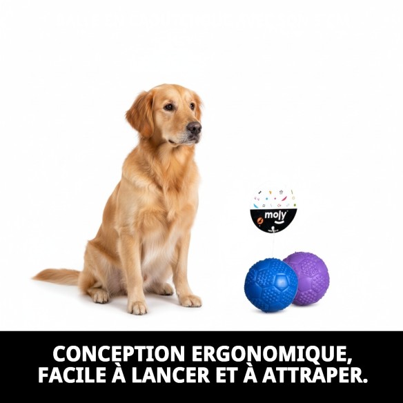 Balle en Caoutchouc avec Son pour Chiens - 5 cm de Plaisir
