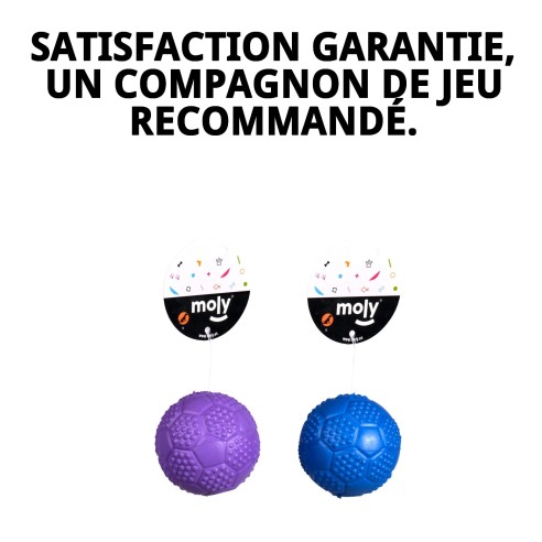 Balle en Caoutchouc avec Son pour Chiens - 5 cm de Plaisir