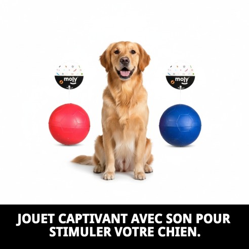 Balle en Caoutchouc avec Son pour Chiens - 6,5 cm