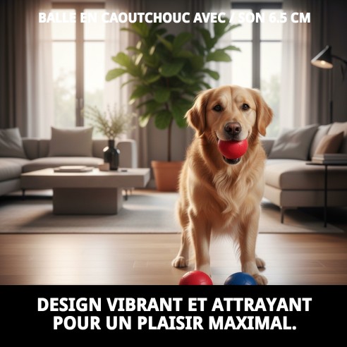 Balle en Caoutchouc avec Son pour Chiens - 6,5 cm