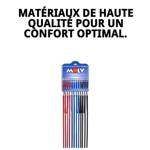 Collier et Laisse Lisse avec Cloche pour votre Animal de Compagnie