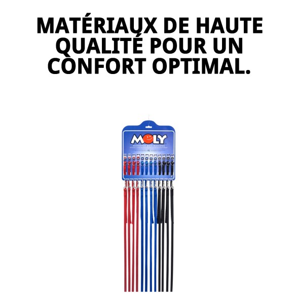 Collier et Laisse Lisse avec Cloche pour votre Animal de Compagnie