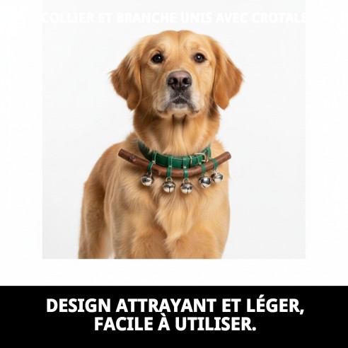 Collier et Laisse Lisse avec Cloche pour votre Animal de Compagnie