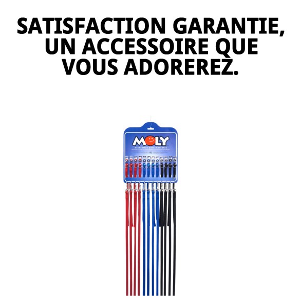 Collier et Laisse Lisse avec Cloche pour votre Animal de Compagnie