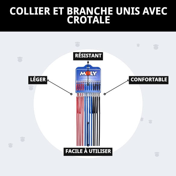 Collier et Laisse Lisse avec Cloche pour votre Animal de Compagnie