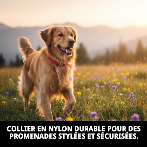 Collier Ramal Nylon d'Exposition avec Pince - Sécurité et Style