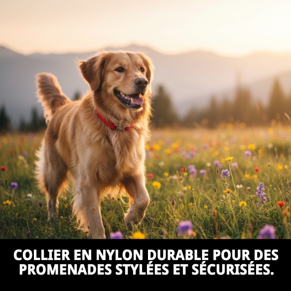 Collier Ramal Nylon d'Exposition avec Pince - Sécurité et Style