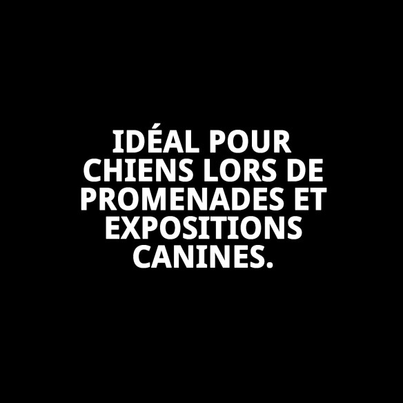 Collier Ramal Nylon d'Exposition avec Pince - Sécurité et Style