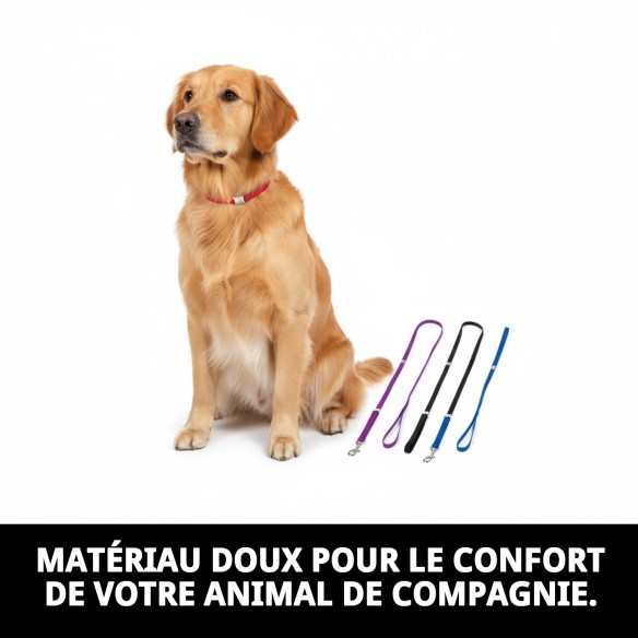 Collier Ramal Nylon d'Exposition avec Pince - Sécurité et Style