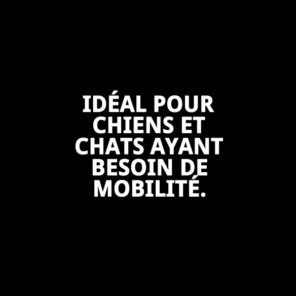 Roues Velox 13 : Vitesse et Style pour Votre Animal de Compagnie