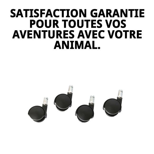 Roues Velox 13 : Vitesse et Style pour Votre Animal de Compagnie