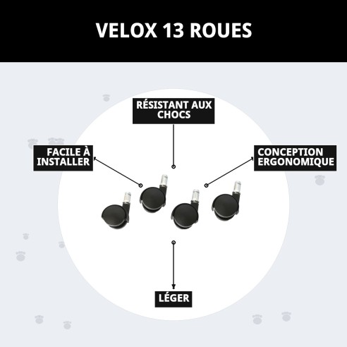 Roues Velox 13 : Vitesse et Style pour Votre Animal de Compagnie