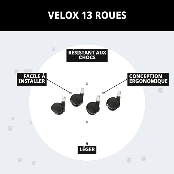 Roues Velox 13 : Vitesse et Style pour Votre Animal de Compagnie