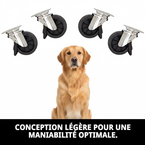 Roues Velox 47 : Agilité et Style pour votre Animal de Compagnie