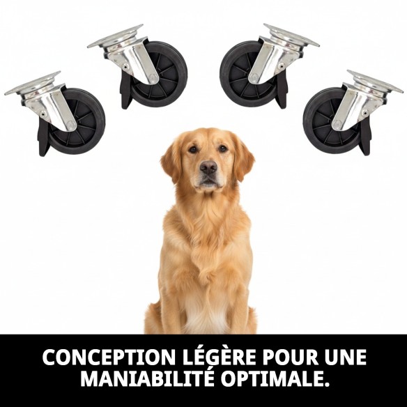 Roues Velox 47 : Agilité et Style pour votre Animal de Compagnie