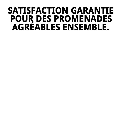 Harnais en nylon Love 8 M/M : Confort et style pour votre animal de compagnie.