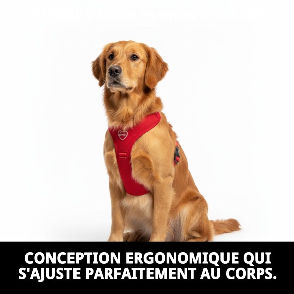 Harnais en nylon Love 25-35 cm pour votre animal de compagnie avec style.